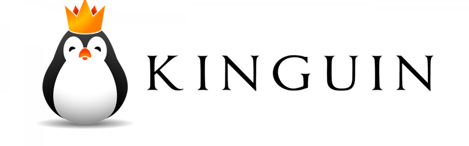 Kinguin Banner